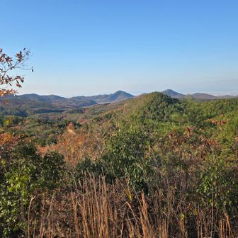 尾張三山方面
入鹿橋がチラリ