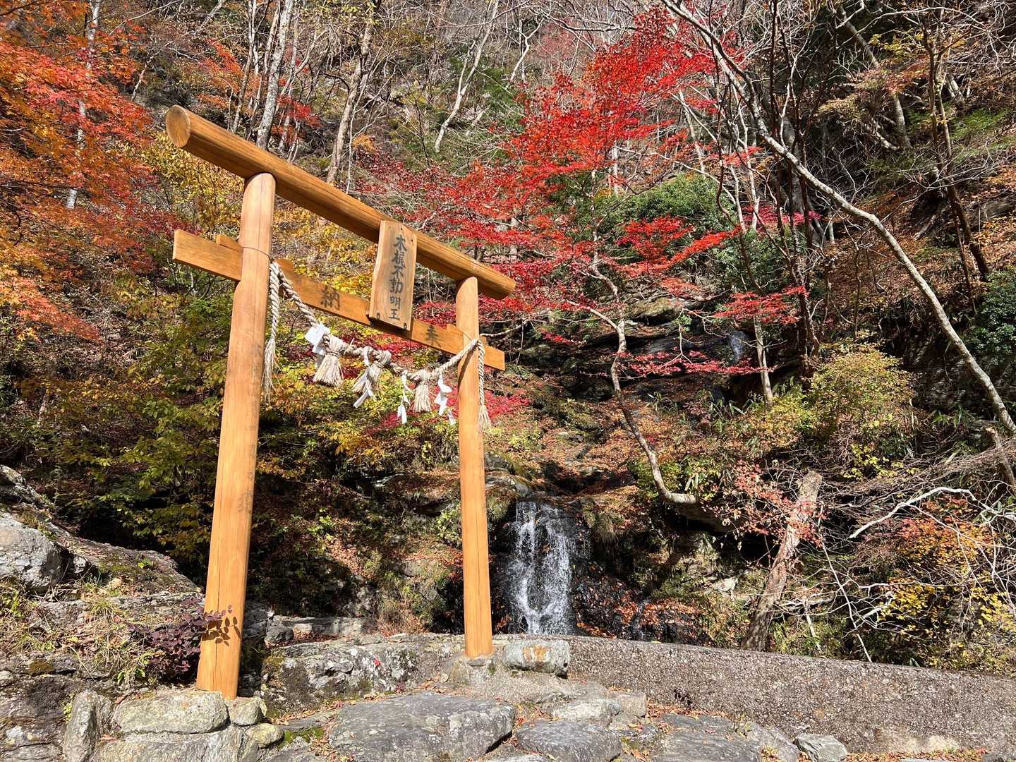 今日も無事に下山できました
ありがとうございました