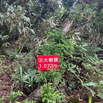 一座はすぐです。
