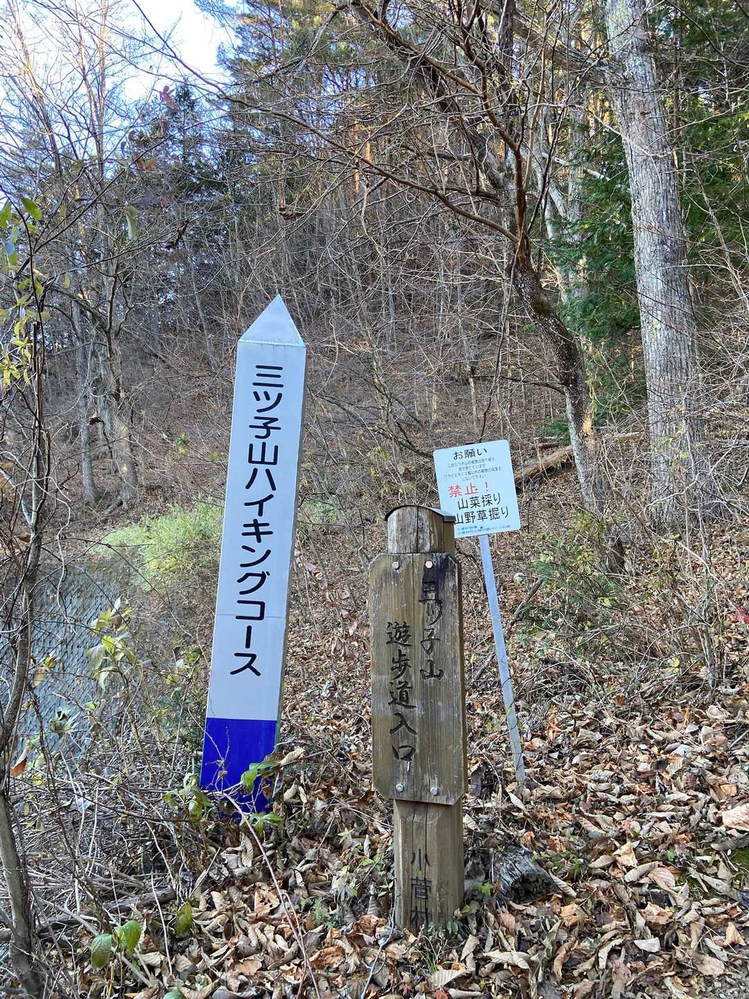 舗装路を歩いて登山口(ハイキングコース口)に辿り着き