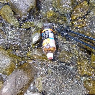 帰路での沢休憩、少しでも冷やそうと流れに浸ける