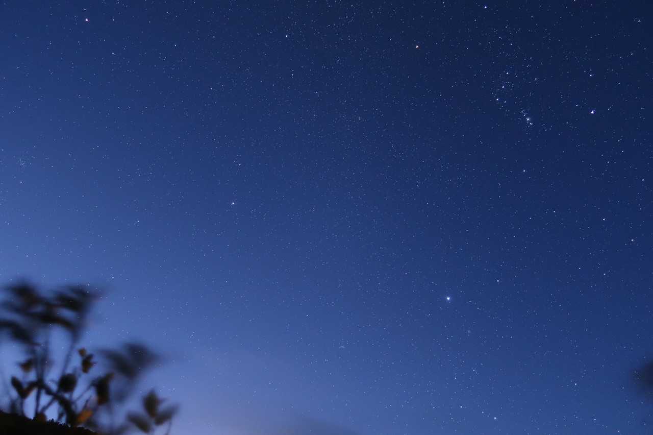 雨が降ってたので諦めてたんだけど……
まさかの星が⭐️強風の中撮ってみました。
木がすごい揺れてるよ🤣

