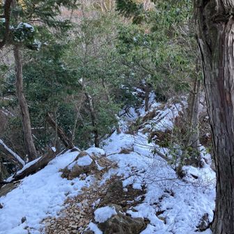 雪、想定外
滑りそうで怖い！