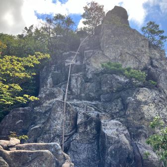 登るか、巻道か悩んで、、登りました😁