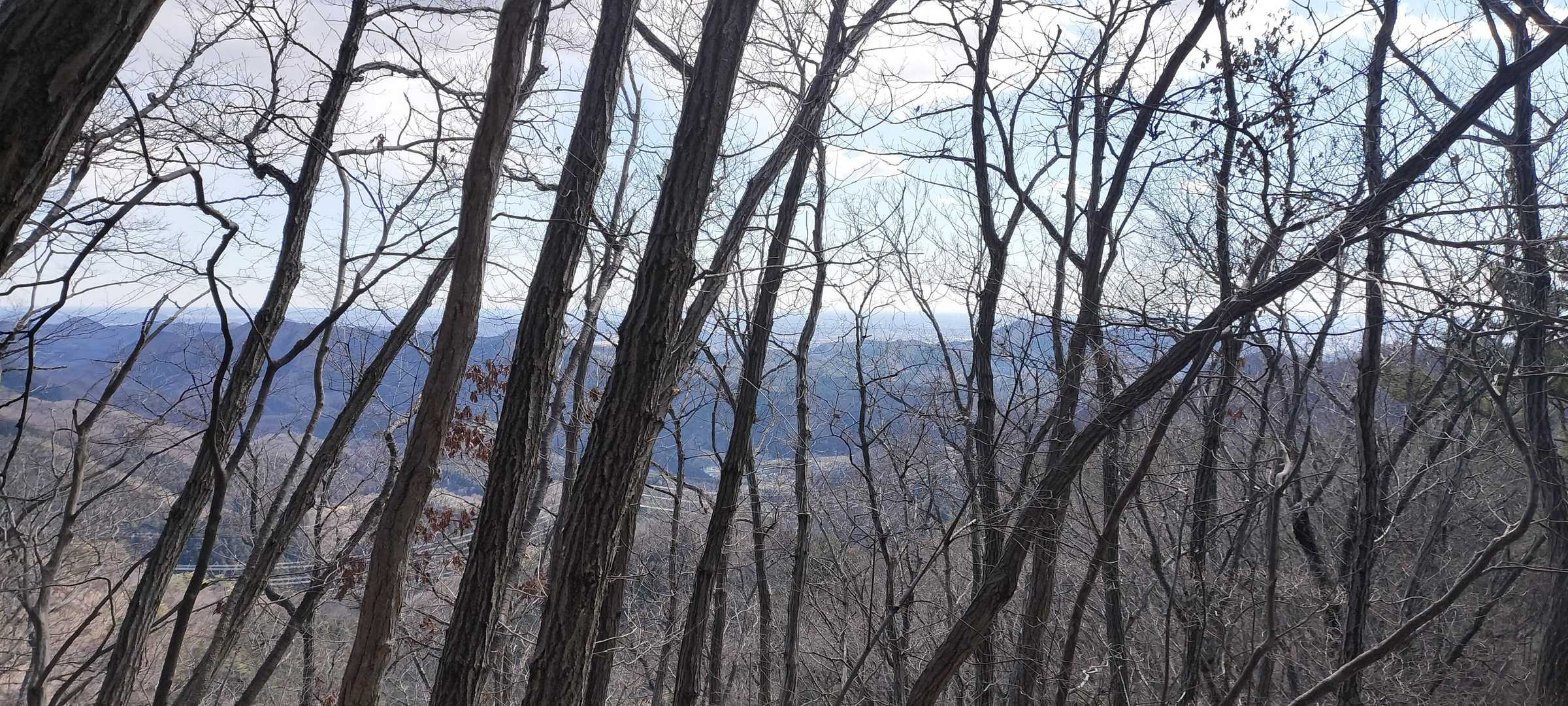 赤雪山登山口-赤雪山 往復コースの写真