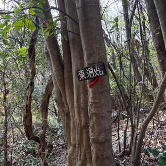 こちらに下山して来ました
無事下山🙏
さあ、カタクリの花🌸を見に行きます😊