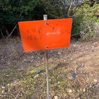 ボンテンヤマ到着｡