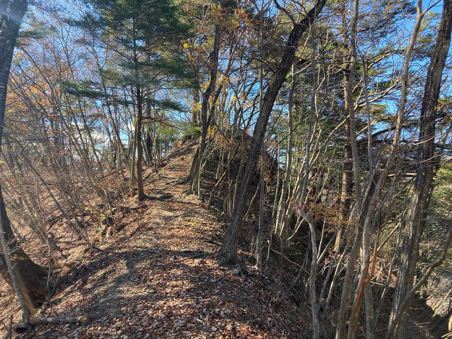 鷹ノ巣山