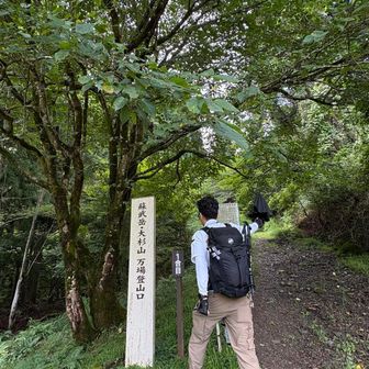 登山スタート！森の中なので日傘は不要。木陰で涼しい。