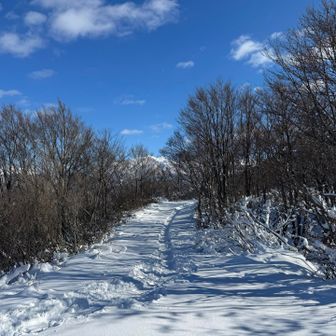 スキー場方面へ山歩します