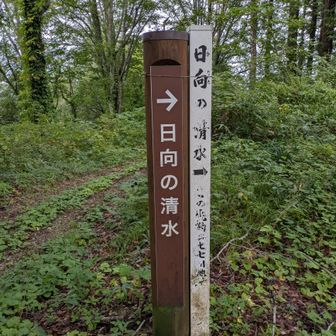 たまには水を見に行くか