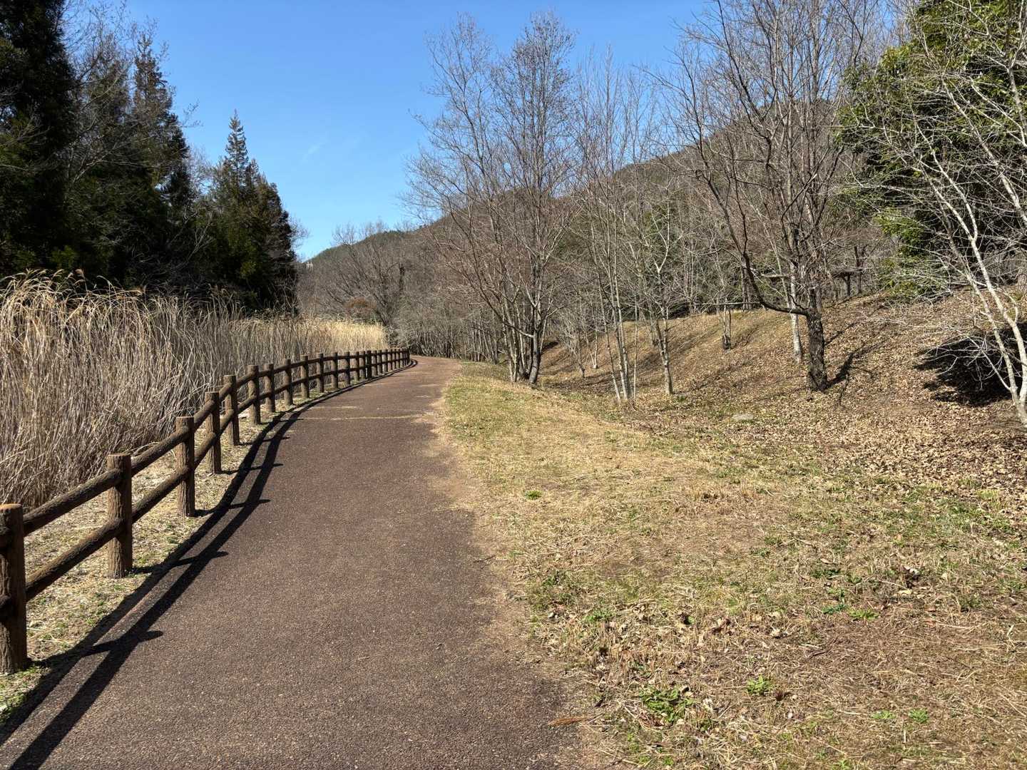 向山-須衛山-見晴台登山口 周回コースの写真
