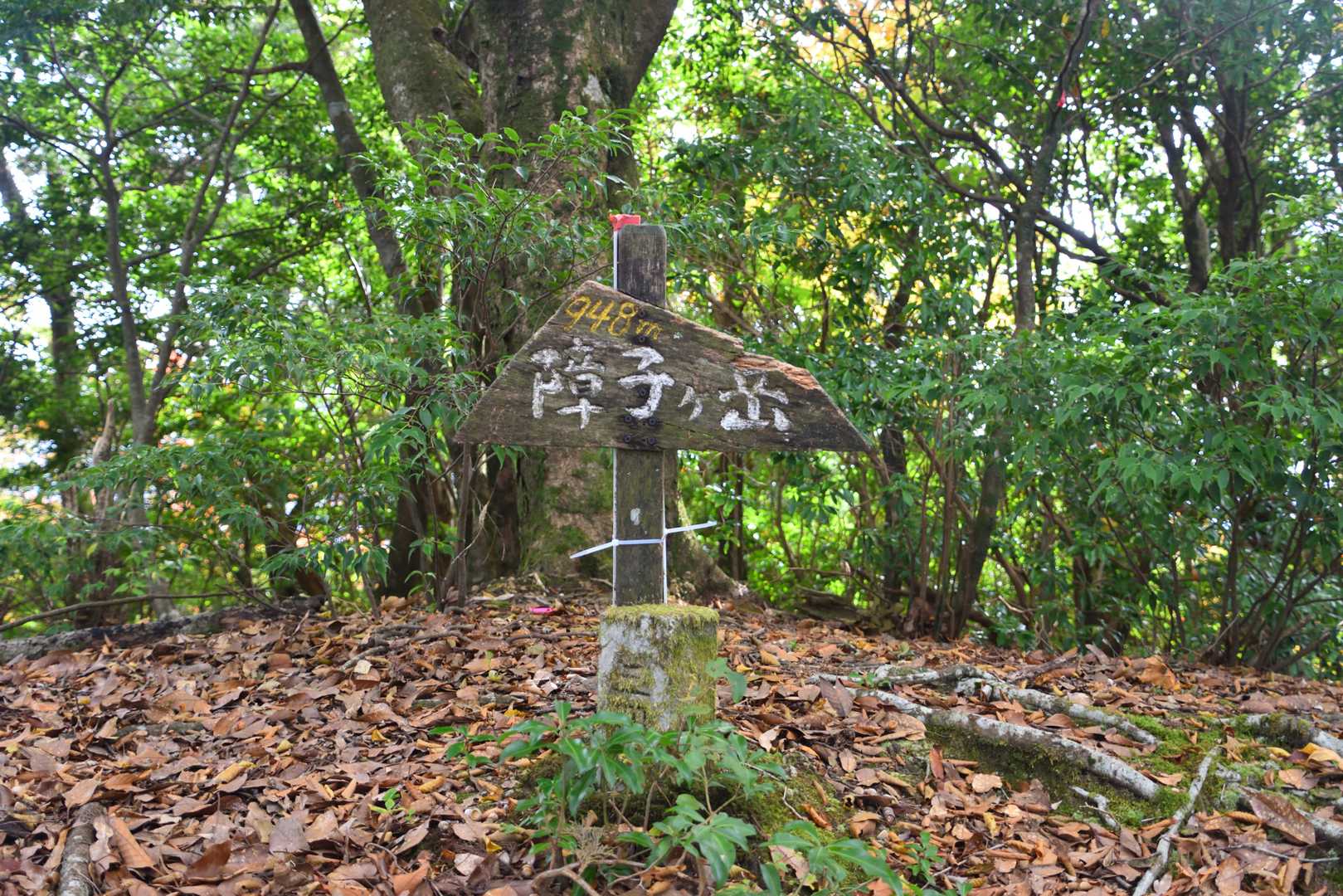 障子ヶ岳山頂
