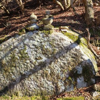 行きしな、全く気づかなかったたいこ岩🪨