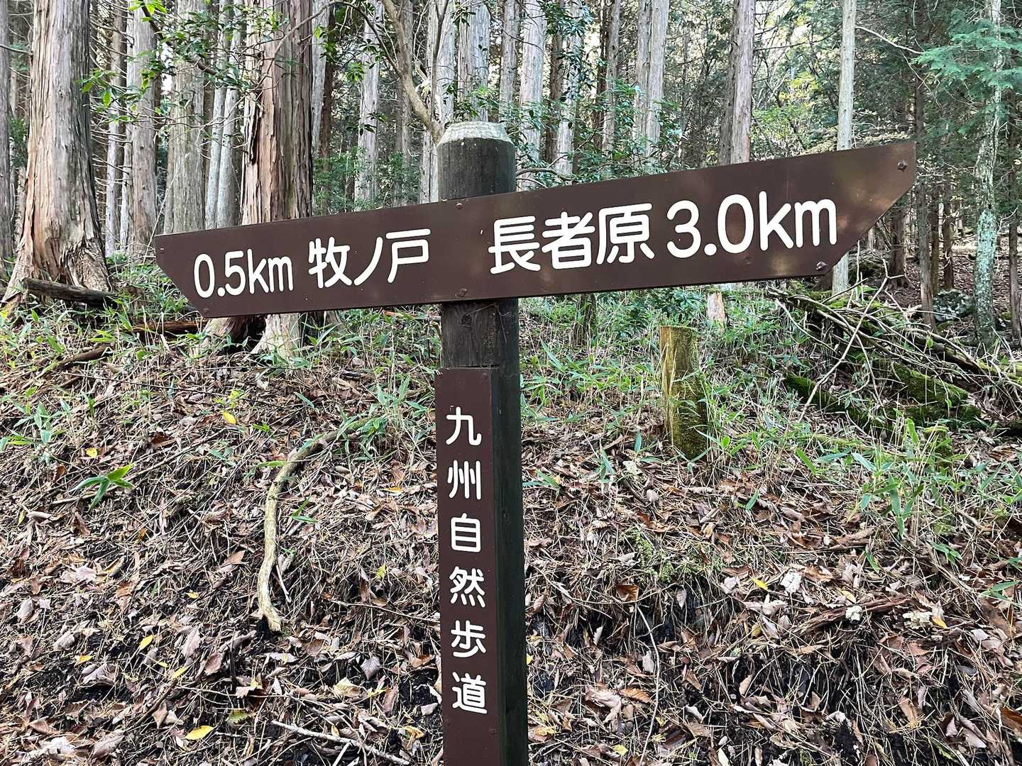 3.5kmあるのね