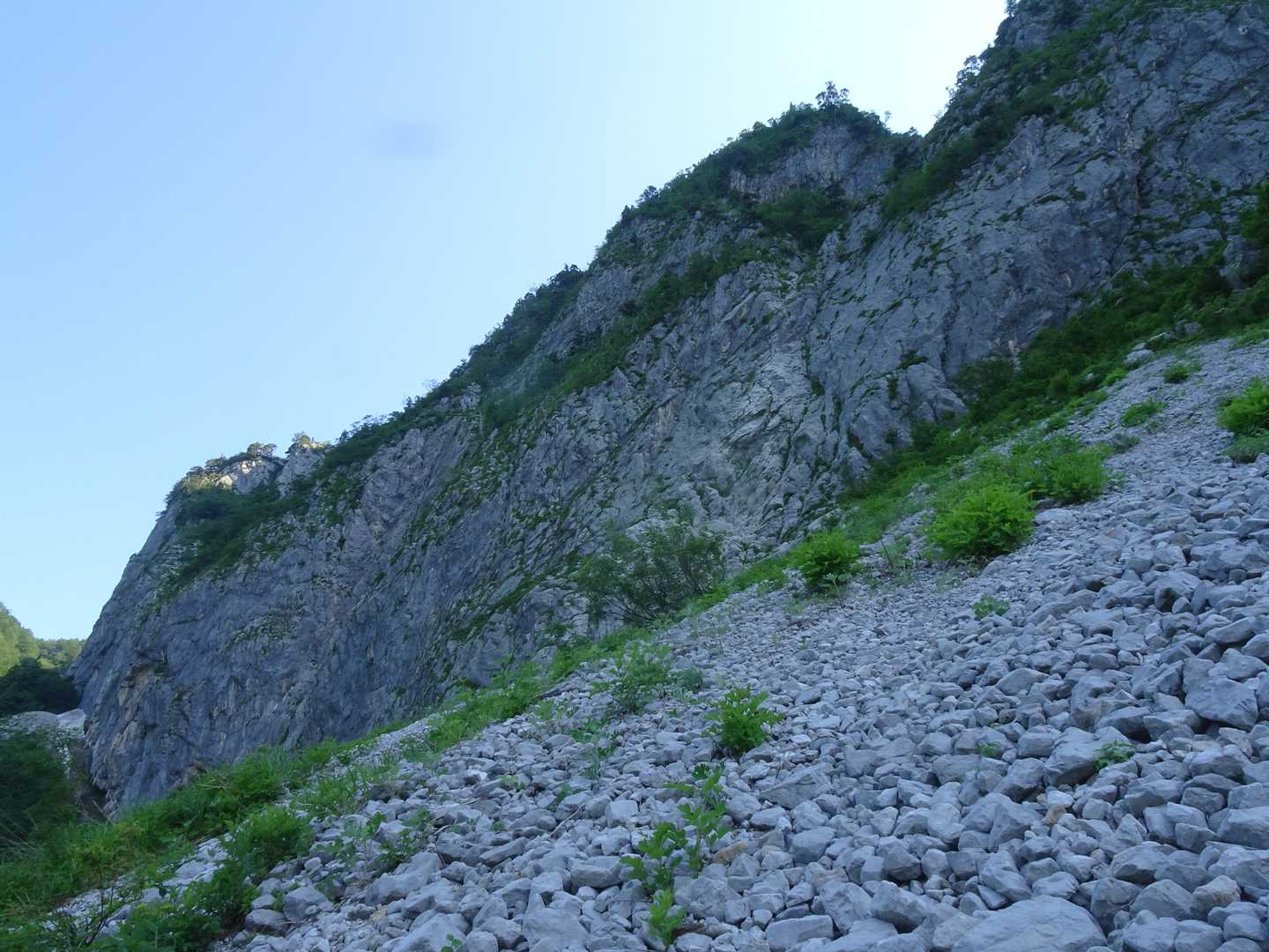 明星山の西壁⛰️