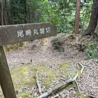 堀切跡（空堀）
写真ではわかりにくいがえぐれてます