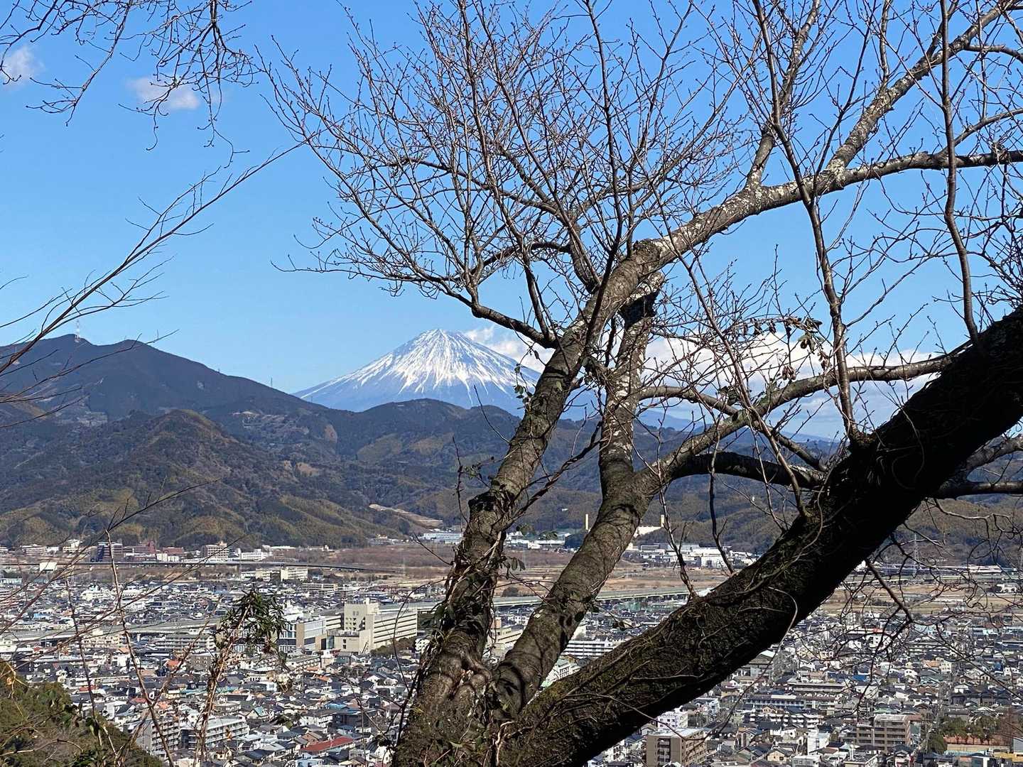 福成山-茶臼山-賤機山-浅間山-浅間神社登山口 縦走コースの写真