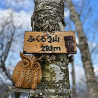 ふくろう山😍
可愛い🪧🦉 ようやく会えた❣️

たくさん福が舞い込みますように👏
ってことで登り初めは ふくろう山🦉

今年も安全第一で登山を楽しみたいと思います
皆さまも幸多き一年でありますように(⁎ᴗ͈ˬᴗ͈⁎)