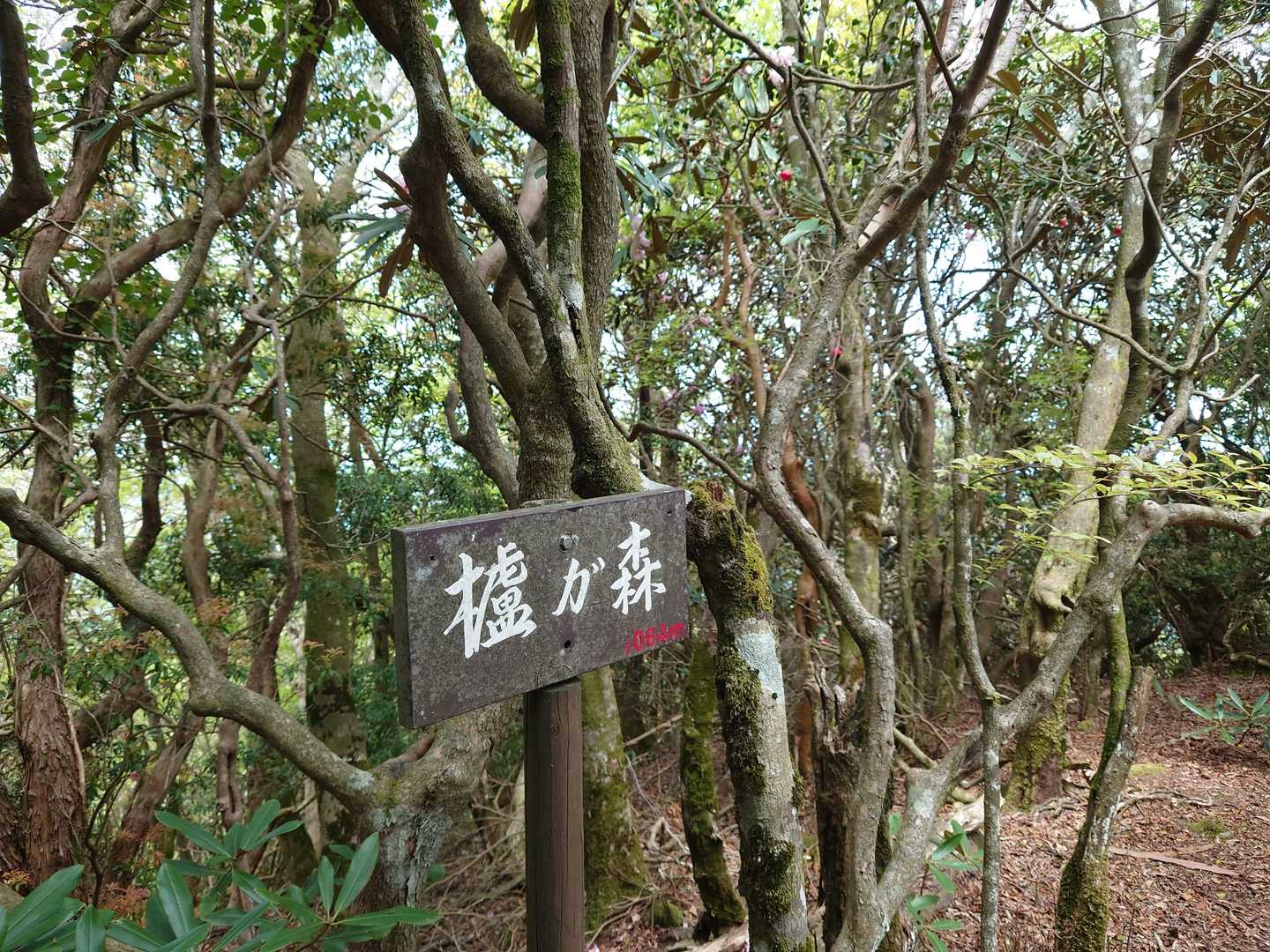 櫨ガ森（ハゼガモリ）