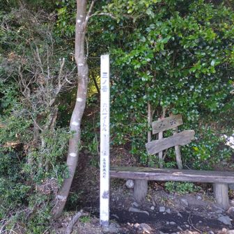 この奥に山頂がある。