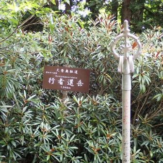 行者還岳、眺望ないのは、残念🫤