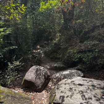 下ります。