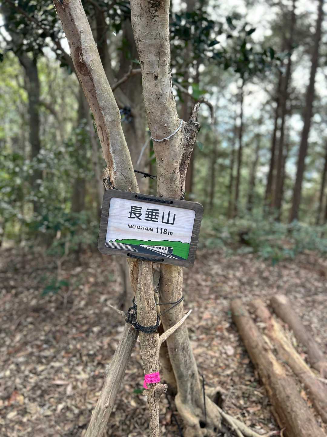 長垂GET