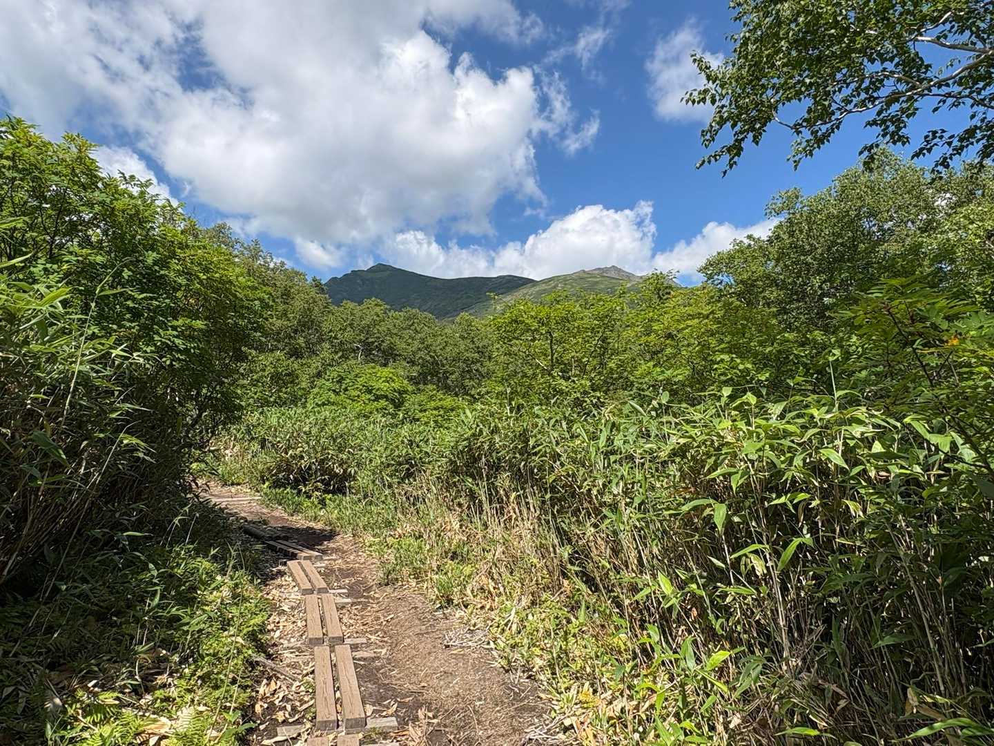 遠くに山みえた⛰️