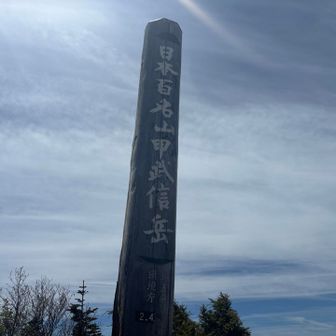 過去イチ達成感の有る
甲武信ヶ岳山頂に到着しました✨