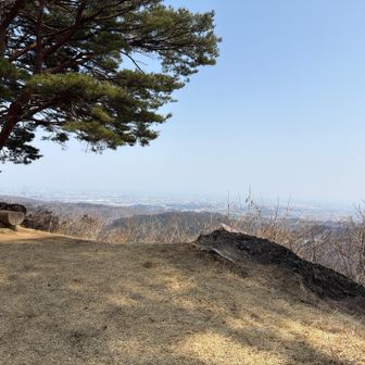 東を望む展望台
霞んで海の境界線が分からない