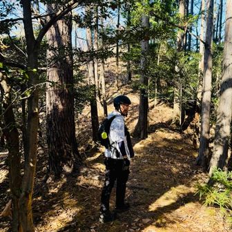 天ヶ岳から梅園山というピークハントもするつもりだったのですが、そこも登り返しとなり往復30分くらいかかる。
スタート時間が少し遅かったのと、休憩を取りすぎた影響で金原山まで目指すとなるとかなりタイトとなってしまう。
梅園山は諦めて林山に向かいました。