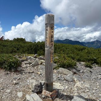 蝶ヶ岳ヒュッテから少し歩いて登頂
一応百高山だった気が