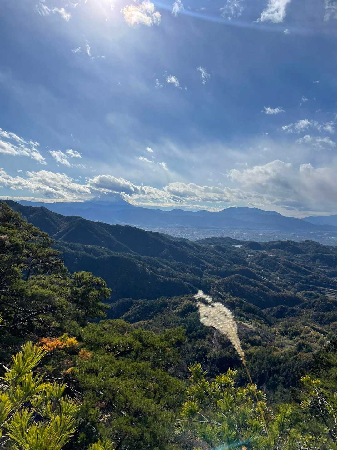 富士山🗻