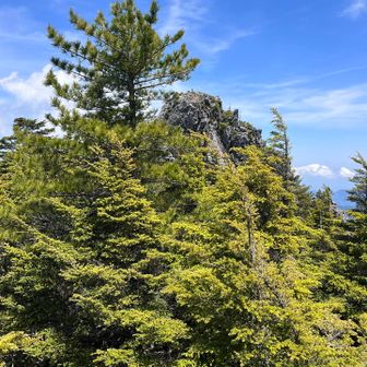 武信白岩山の山頂が見える
あの岩峰を登るのか、とビビりながら巻き道を進む
（幸い？登頂禁止のロープあり）