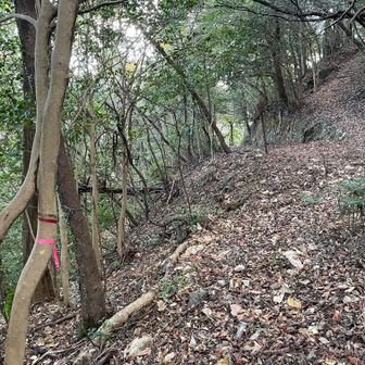 階段を下り切った分岐
左は下り、右は山頂へ