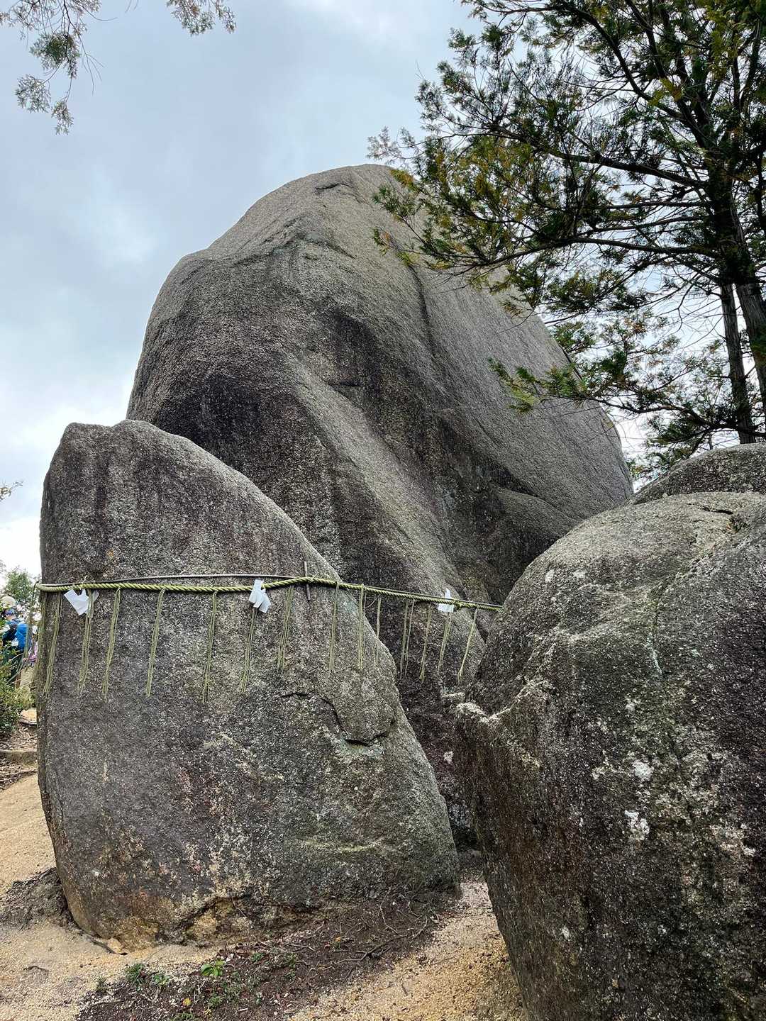 くじら岩🐳