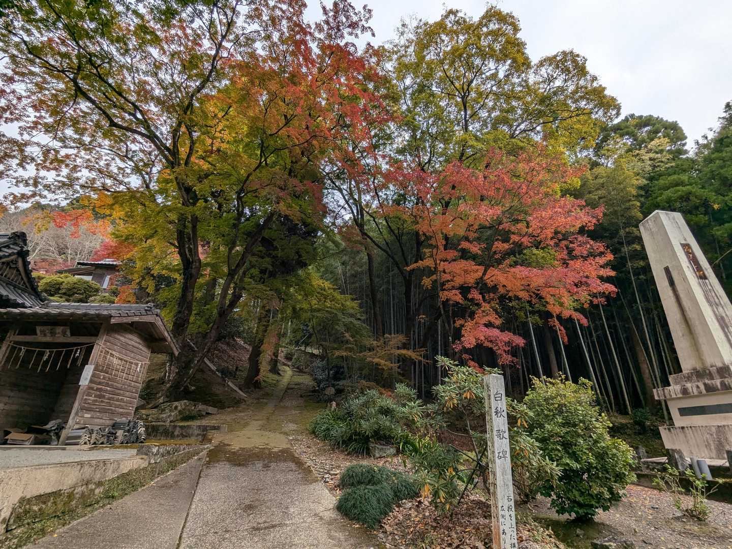 大津山 往復コースの写真