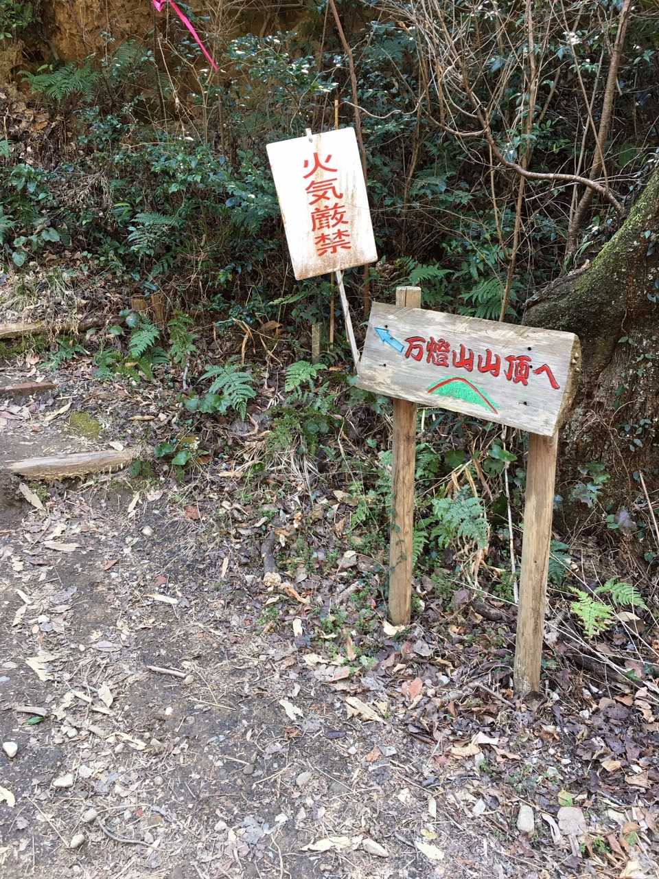 こんな可愛い看板が