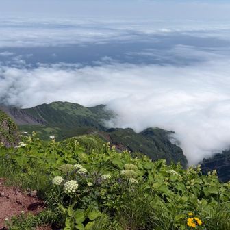 頂上からは、雲海の景色です