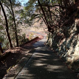 下りてきました～😃