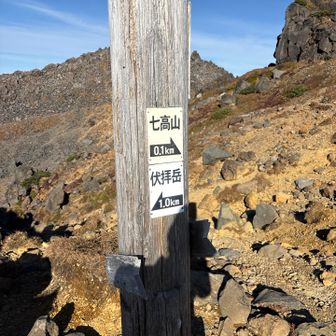 ここから新山へ急降下して急登を登る