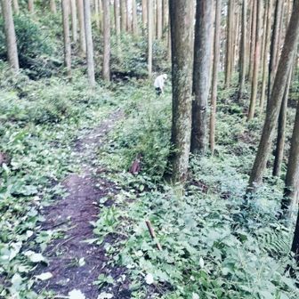 登山道の整備をしてくれている隣の市のSさん。
金剛山に六千回以上登られているレジェンドです。