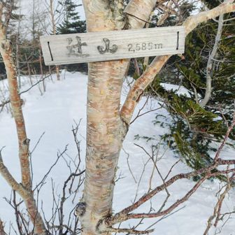 辻山の山頂標が