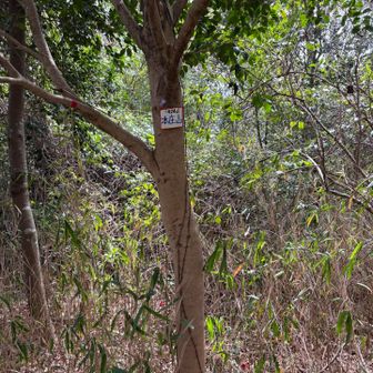 ここに行く道は分かりにくいし滑るしで大変なのに、特に見どころもありませんでした😅