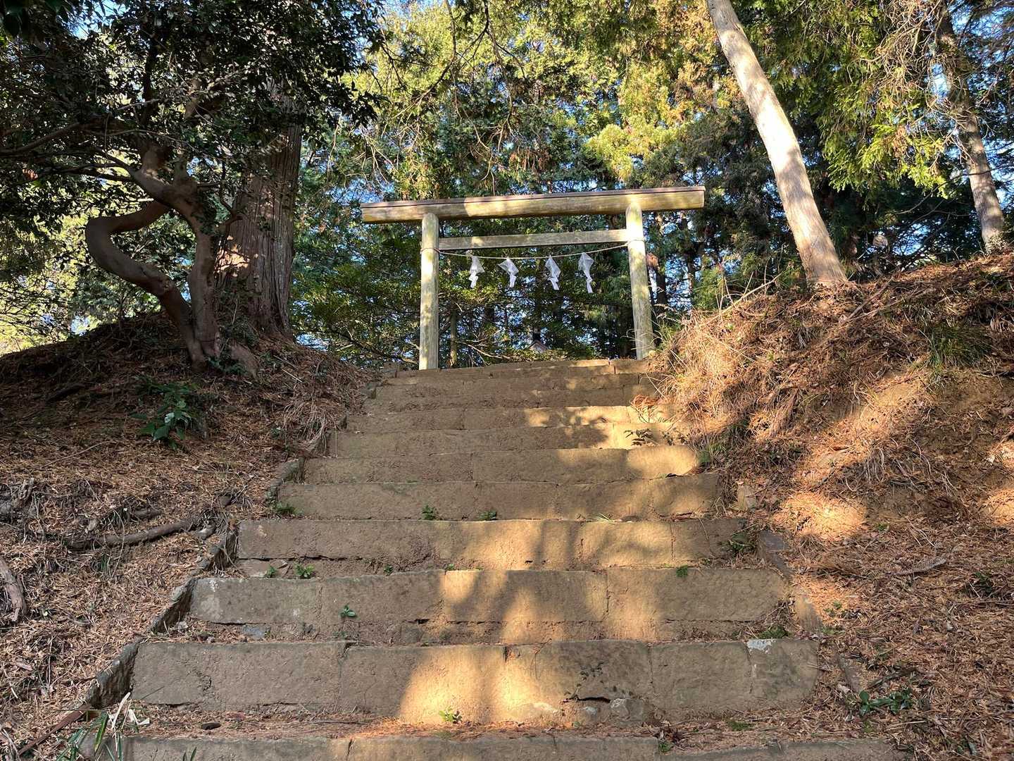 凛とした雰囲気