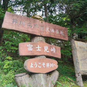 富士見峠通過、ここからフルマラソンもう1回分