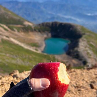 ここで休憩
長野県に出張したら買わないとね
本場のシナノスイート
めっちゃ美味しいよ😋