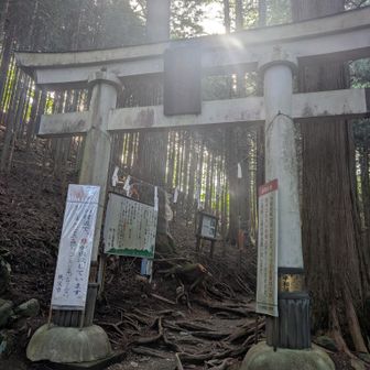 一の鳥居。
この辺りでも時々クマが出るとSNSに上がっていたのでちゃんとスプレー持参。
