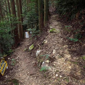 「太龍寺山」への分岐